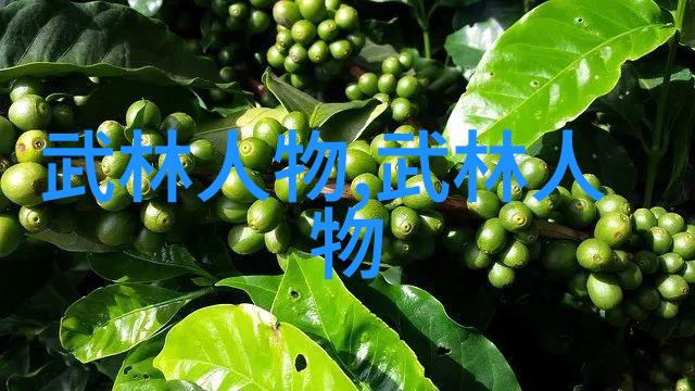 黑色橄榄球僵尸冲击新西兰中新体育合作加速推进国家队征战联赛