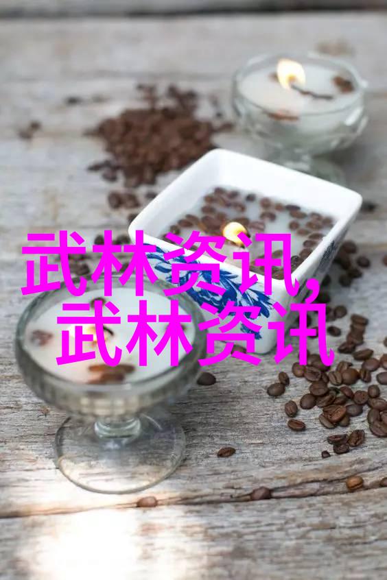 中华武林全谱揭秘全国各大武术门派的传统与风范