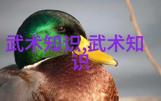 如何通过对比两种不同的动作来深入理解太极拳的哲学思想