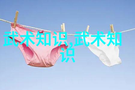 武林高手是怎样通过秘密技巧来提高自己的反应速度和灵活性