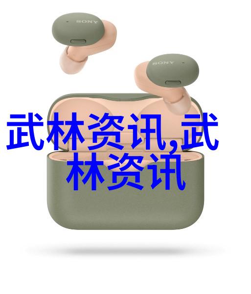 武林16大门派秘籍揭秘武学大家族的传承者