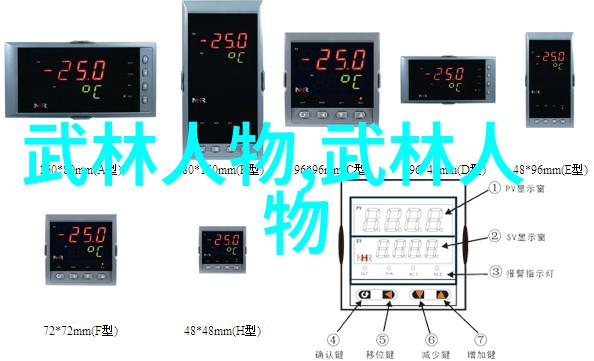 太极拳精髓解析揭秘24式动作名称背后的深意与实践技巧