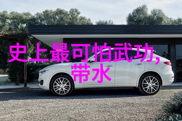 中国武术十大门派-中华武学宝库探秘中国武术十大门派的传承与魅力