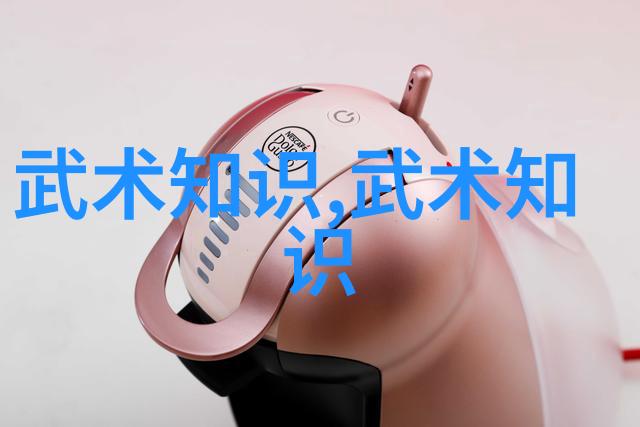 武林秘籍集中华拳艺之源