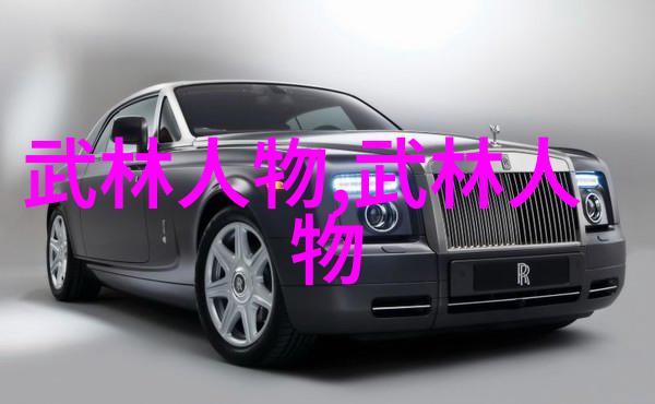 在中国体系最庞大的武术门派中难道不是武当掌门钟云龙吗