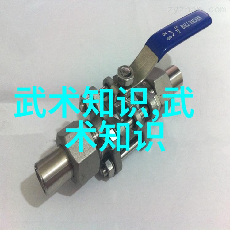 古代武术训练方法拳影纷飞中的内力探索