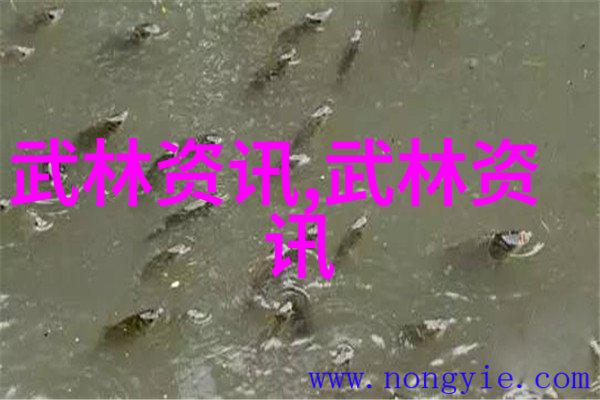 中国体系最庞大的武术门派我亲历的华山派江湖中那股不屈的力量