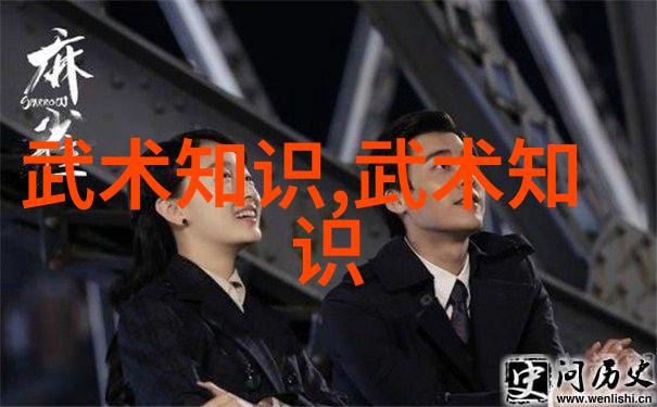 童心武艺少年拳手的故事