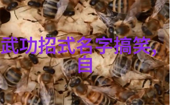 形意拳在社会中最怕遭遇哪种对手