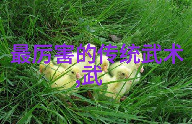 武术技巧-春风化雨咏春拳法的艺术与实用