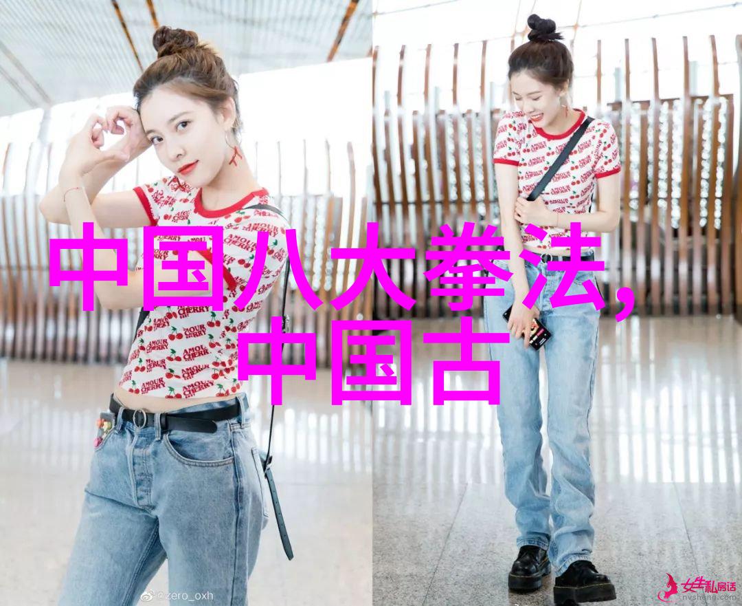 风云家传车家古意拳
