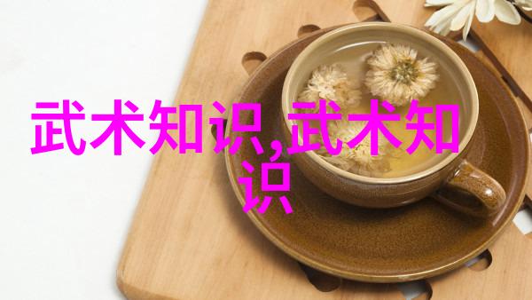 从心出发 武功秘籍大全中的意志力锻炼和精神追求探究