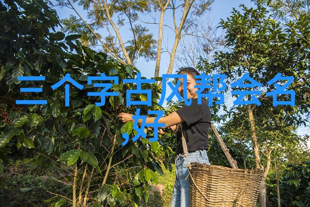古老武林的秘密传统武术门派有哪些