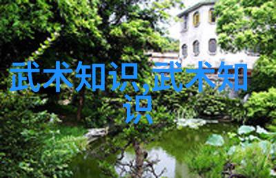 武林盛会揭秘武术活动的精彩世界