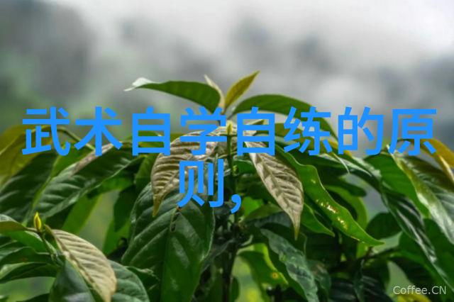 古代武功秘籍排名-天下武林秘籍大全揭秘古代武学之巅