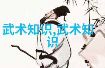 适合自学的武术揭秘太极拳精髓与动作风范