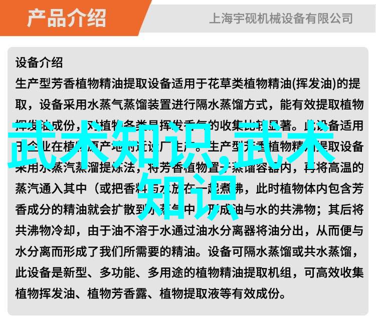 武术在自然之中预备式与起势的完美融合