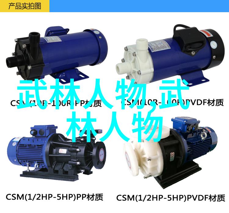 身法秘籍名称-修炼之道揭秘传统武学的精华