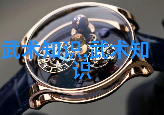 中国最有实战性的武术中华内外功夫的精髓