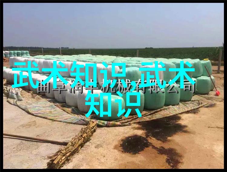 古风帮派-逆袭江湖天涯幽梦帮的崛起