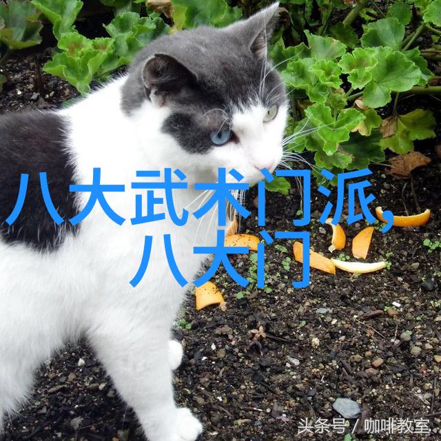 绚丽的花园帮派女生选择这样的名字好吗