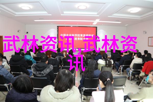 太极流韵轻盈舞动的24式步法秘诀