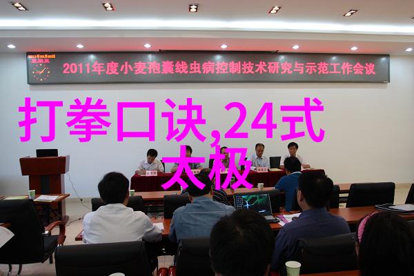 剑影幽兰沾衣十八跌