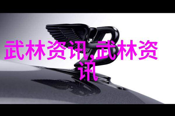 武林秘籍揭秘济宁查拳是不是十大最强之首