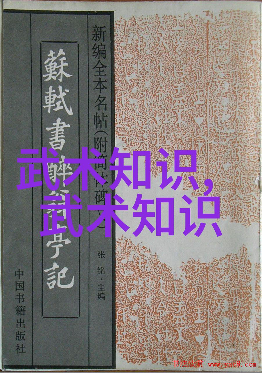我想学武术自学怎么学跟着这篇打造个人教室武侠梦的自学之路走一遭