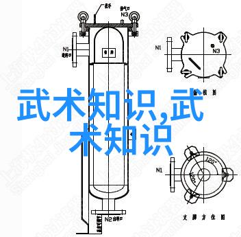 中国拳法的多样性与发展探索传统武术中的各种形式与风格