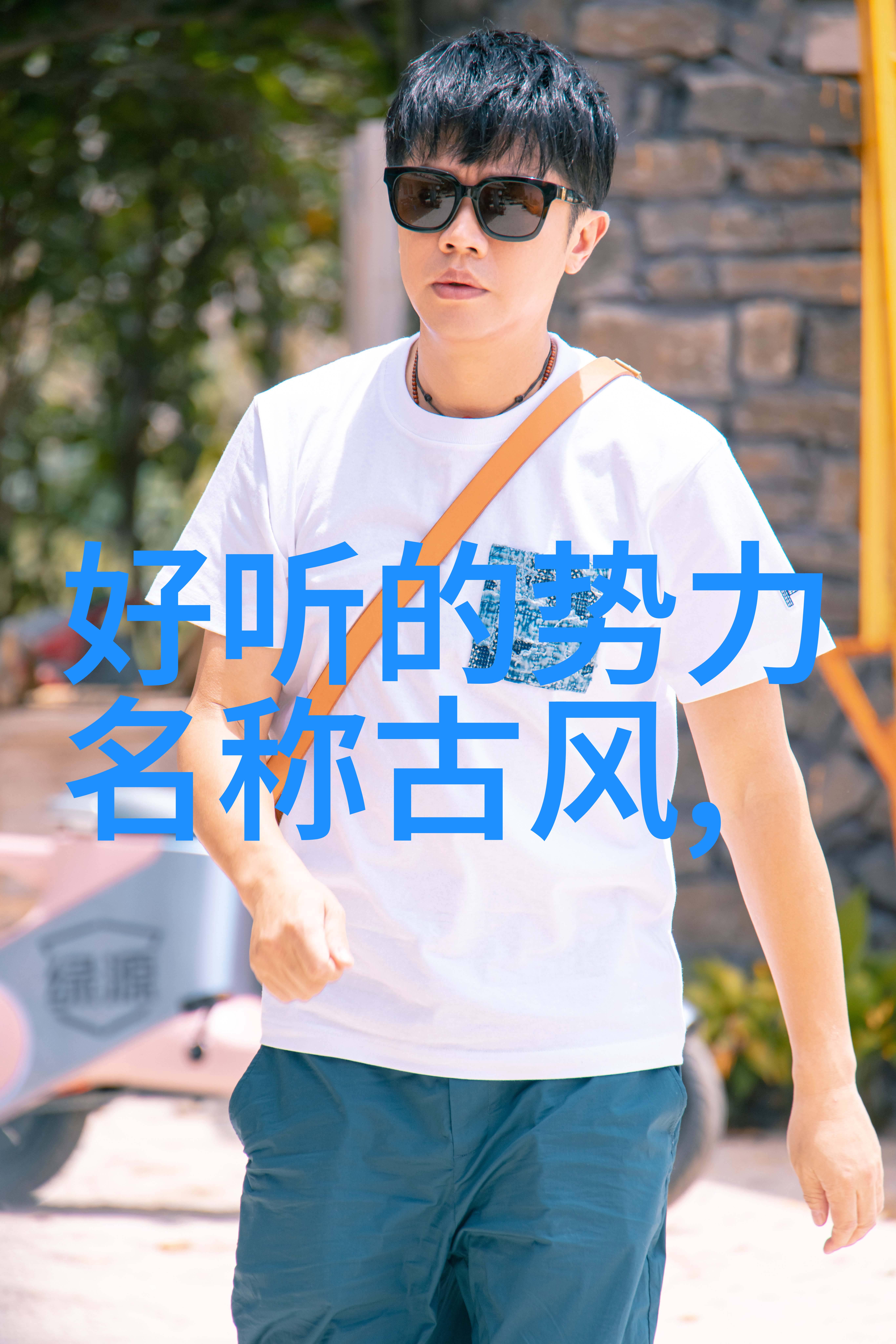 门派拳种武当派