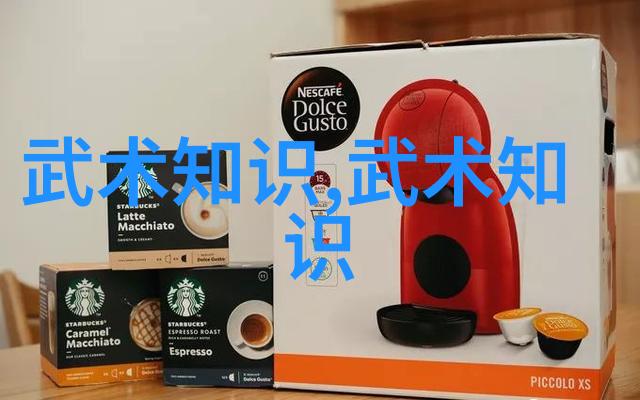 中国武林巅峰之战门派拳种合页通背