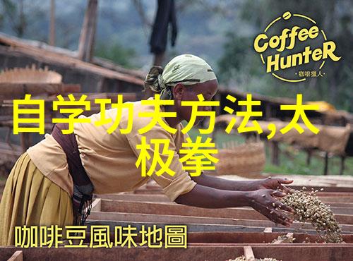 老卫淑蓉7一12集老卫淑蓉的七个秘密一起解开十二道谜题