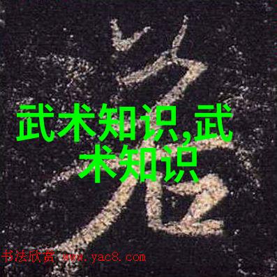 哪些地区在中国拳法的演化中起到了关键作用