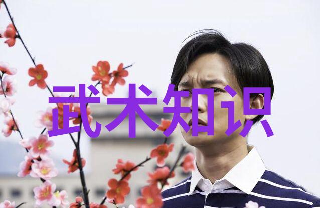 中国拳击手对阵多国拳手 日本刚王激战中惨败