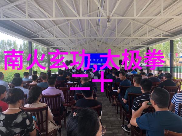 中国功夫门派实战排名中的苏家拳反复体现其精髓