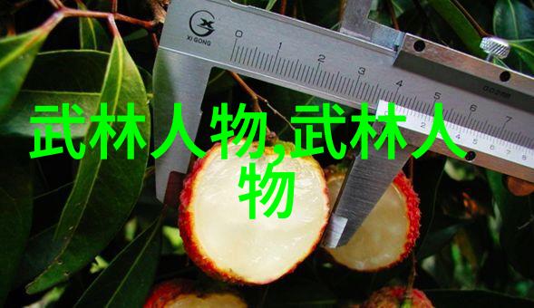 上原优美追寻心灵的歌声