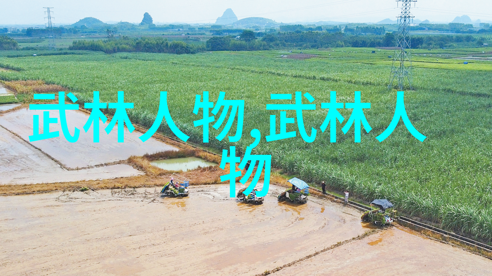 从南拳到北拳从少林到黄龙全国武术门派分类详解