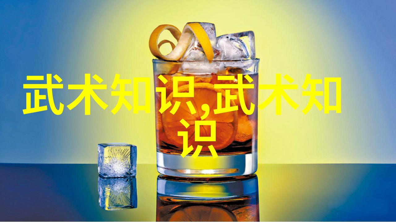 内家太极秘籍解密揭开古老功夫的神秘面纱