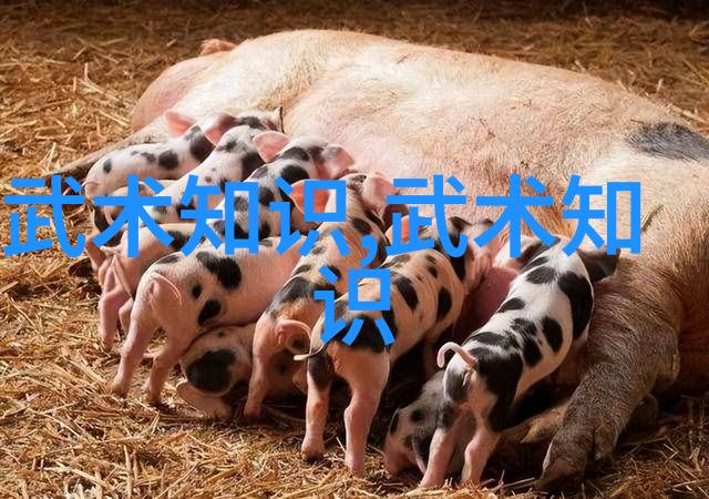 在实践中遇到难以理解或执行的部分该怎么办