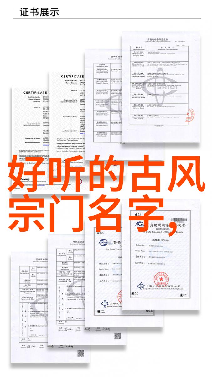 武术的起步从基础功至基本招式