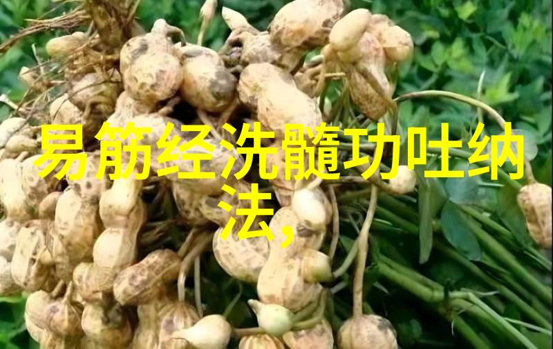 气功大师揭秘武术中的呼吸控制艺术