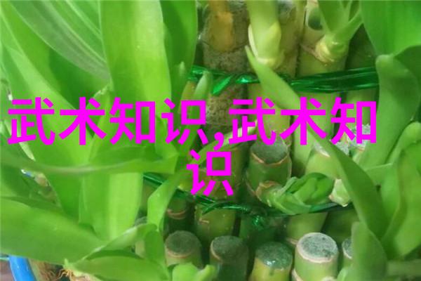 网络上禁用武术的网站探究背后的原因与影响