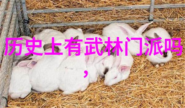2014年马刺热火大战当7米高球王遇上火焰中野兽的第五场激烈对决