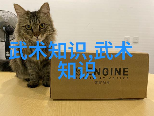 风华绝代的幻影盟探秘那些音符般动听的势力名称背后的故事与文化内涵