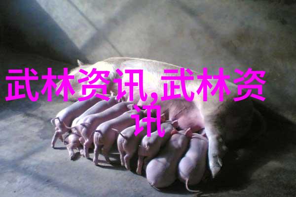 田野里的银幕玉米地电影免费观影体验