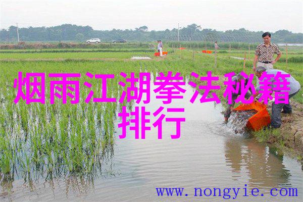 太极拳与葡萄酒古风剑法在社会的演绎