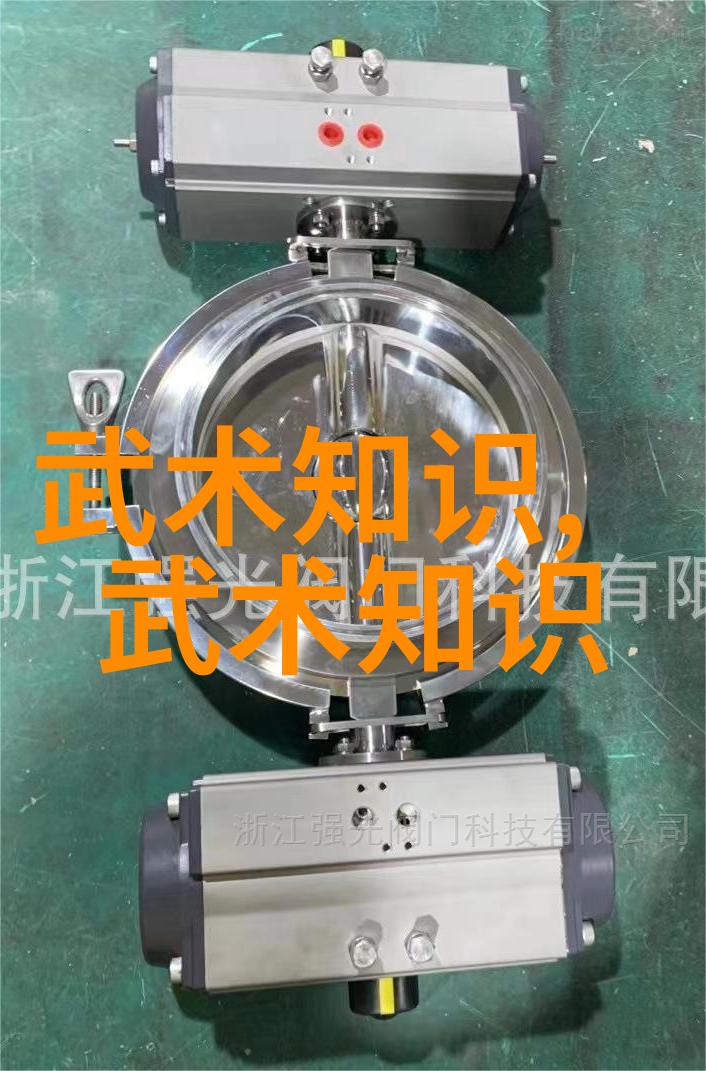 太极拳二十四式解析与练习顺序