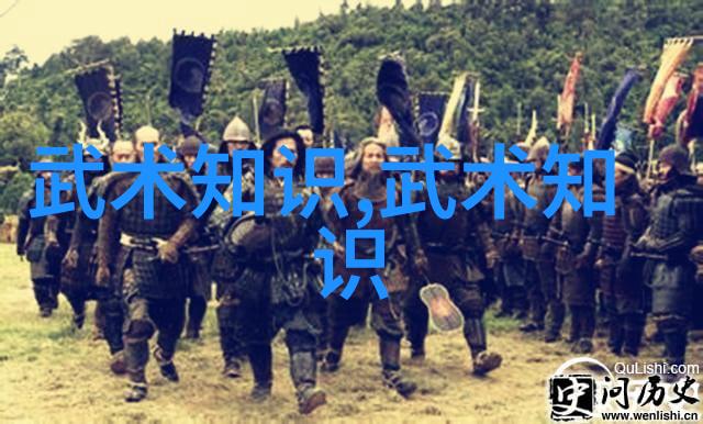 太极拳24式精髓解析一分为二的动作教学指南