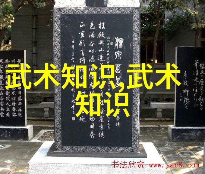 足球与武术
